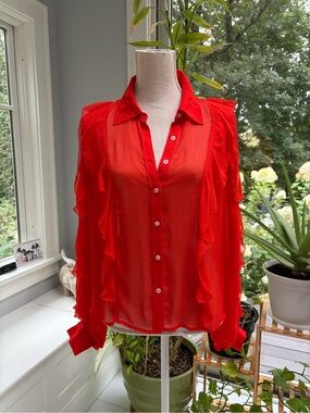 Maeve by Anthropologie Sheer Ruffle Blouse